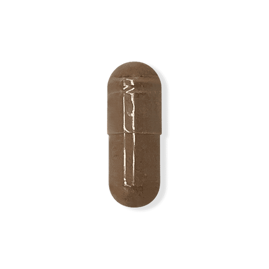 Rhodiola